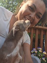 Lost dog in Fairbanks area, owner in hospital, dog found safe