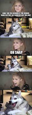 Oh Snap Funny Puns Stupid Funny Memes Funny Animal Jokes