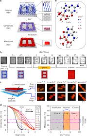 3 alphabet of lines the different lines and line symbols used on drawings form a kind of graphic alphabet commonly known as the alphabet of lines. Programming Dna Origami Patterning With Non Canonical Dna Based Metallization Reactions Nature Communications
