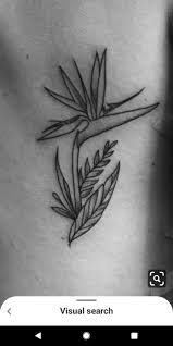 Black And White Bird Of Paradise Flower Tattoo Bird Of Paradise Tattoo Birdwatching In 2020 Bird Of Paradise Tattoo Paradise Tattoo Hawaii Flower Tattoos