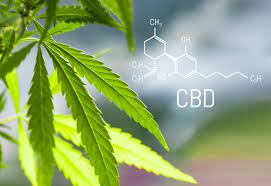 Concerns over drug testing often arise up during a job interview. Will Cbd Show Up In A Drug Test