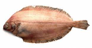 Sprødstegt fisk med grønne grønsager. Vin Til Rodtunge Winelab Dk