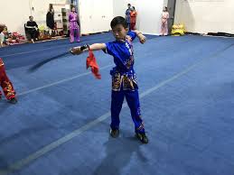 Wushu Taolu — News for Wayland Li Wushu in Toronto — Wayland Li Martial  Arts Centre | Wushu | Toronto, Ontario, Canada