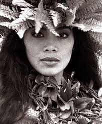 TEC Ventures Hawaii--Retail, Wholesale Art, Home Decor and Surf Lessons