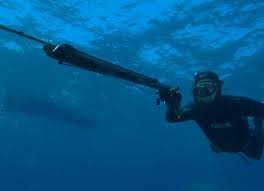 Les Techniques De Chasse Sous Marine Le Petit Plongeur En 2020 Chasse Sous Marine Chasse Exercices A La Maison