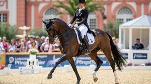 Maybe you would like to learn more about one of these? Das Sind Die Kader Furs Olympia Jahr 2021 Sport News Reiterrevue International