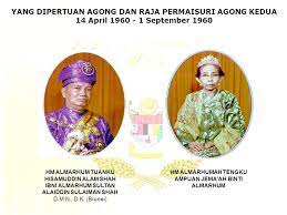 Sultan hisamuddin alam shah ibni almarhum sultan alauddin sulaiman shah kcmg 13 may 1898 1 september 1960 was the second yang dipertuan agong of malaya f. Institution Functions And The Process Of Government Ppt Download