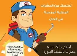 شركة مكافحة حشرات بالمدينة المنورة 0553885731 رش مبيدات بالمدينة المنورة Mario Characters Fictional Characters Family Guy