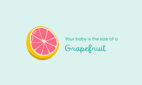 Baby is kicking, curling toes and moving her arms. 15 Weeks Pregnant Symptoms And Baby Development Pampers