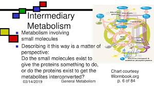 introduction to metabolism carbohydrate chemistry i ppt