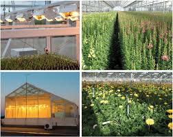 Have you ever considered an indoor grow lights system for growing plants indoors? Daily Light Integral
