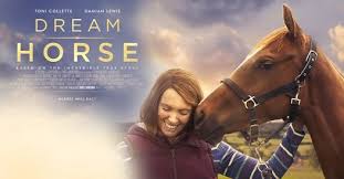 Horses from all over the world dreams can come true youtube.com/c/dreamhorses. Dream Horse Pg Tickets Zoeken Stamford 23 May 2021
