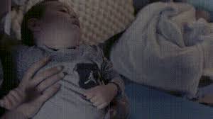 ¿quién fue el idiota que creó esta ley? video. The Danger In Our Salad Bowls The Boston Globe