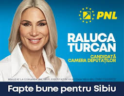 Scandal monstru provocat de jucătorii de la Copșa Mică în meciul cu Inter.  Fiul președintelui AJF a fost bătut (foto)