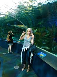 Review Of Ripley'S Aquarium Of Canada | Toronto, Canada, North America -  Afar