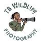 Guided Bird Outing — Whitemarsh Foundation event image