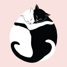 Find photos of two cats. Black And White Illustration Pink Background Two Cats Hugging A2 Folded Notecard Art By Cait Maud Cats Hug Be Hug Illustration Cat Art Abstract Face Art