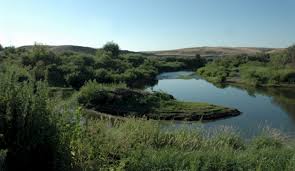 Maybe you would like to learn more about one of these? Pierce S Green Valley Now Open Call 509 730 6657