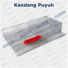 We did not find results for: Kandang Puyuh Kandang Baterai Kawat Puyuh Beli Juga Nipple Puyuh Shopee Indonesia