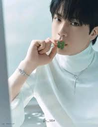 BTS member models Fred's jewelry collection