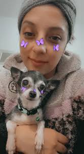 Lost black and grey elderly blind chihuahua in Summer Sands Neptune Beach