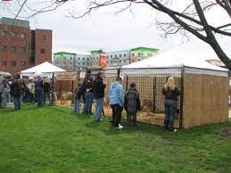 Our full show with 10 animals. Exotic Animal Mobile Traveling Petting Zoo In Ohio Jungle Island Zoo