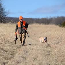 Spring Lane Hunt Club Endorsed Wingshooting in PA