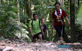Contextual translation of hutan simpan kekal into english. Bernama Pkp Jabatan Perhutanan Nasihat Orang Awam Patuh Larangan Masuk Hutan Simpanan Kekal