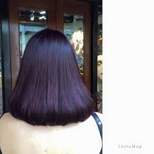 People with dark hair use different color dyes to change the appearance, looks and to cover up our top picks purple hair dye for dark hair. Trendy Hair Colours That Do Not Require Bleaching In Singapore