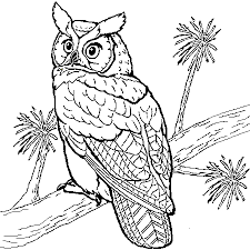 These coloring pages of owls will enhance your child's knowledge of owls in a fun way. Owls To Download Owls Kids Coloring Pages