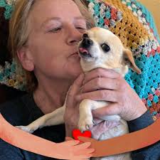 2025 Teens and Oregon Mustangs Trainer Updates