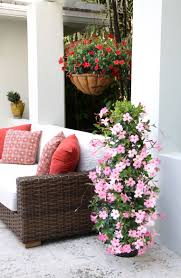 Pin On Gardening