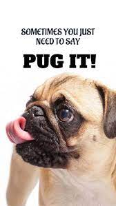 20 Free Dog Wallpapers I Phone And Android 20 Hd Sized Homescreen Wallpaper Dog Pictures Dog Lockscreen Dog Phone Dog Wallpaper