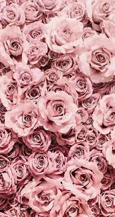 Pastel phone wallpapers pink flowers wallpaper 2. Tapete Mobile Wallpaper Hintergrundbild Iphone Einfarbige Tapete Bunte Tapete Landschaft Wallpape Pink Wallpaper Iphone Rose Gold Aesthetic Rose Wallpaper