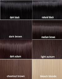 Amazing Dark Brown Hair Color Chart 12 Black Hair Color