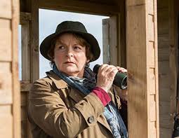 Visionnez en hd les derniers épisodes de vos séries séries favorites, comme « les feux de et puis, autre événement dans les séries made in france: Programme Tv Dimanche 29 Octobre 2017 Chaines Tnt Box Cable Sat