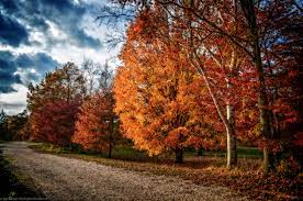 Where is planting fields arboretum in long island? Upcoming Events And Programs Planting Fields Foundation