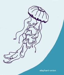 It is pink to purple in color and can cause painful stings to swimmers. Purple Striped Jellyfish By Elephant Onion On Deviantart