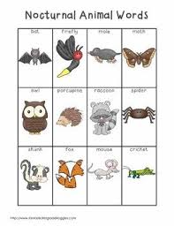 Writing Center Tools Nocturnal Animal Words Nocturnal Animals Activities Nocturnal Animals Animal Lessons