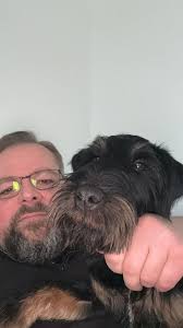 Puppies looking for new home…