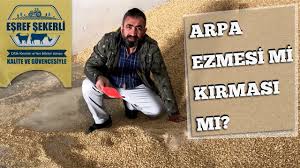 Arpa Ezmesi Mi Arpa Kirmasi Mi Daha Faydalidir Youtube
