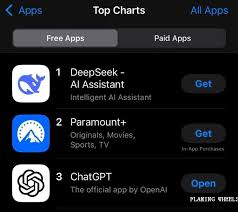 DeepSeek什麽來頭，何以震動全球AI圈？-香港風火時報-風火輪傳媒 ...