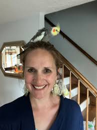 Cape Cod Missing or Lost Pets