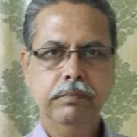 Dan Pucci Email & Phone Number