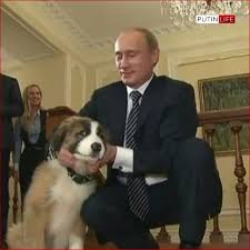 pin pa wladimir putin sein reich