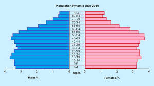 How To Make A Population Pyramid
