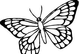 Craft making butterfly collage from leaves. 1001 Keindahan Sketsa Gambar Kupu Kupu Terelengkap Dan Tekniknya