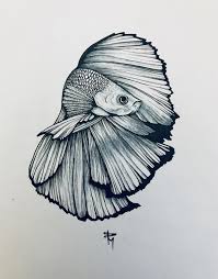 The Content For You Personally If You Enjoy Drawing Ideas Don T Ignore These Pointers Drawingideas Beta Fish Drawing Fish Sketch Stippling Art