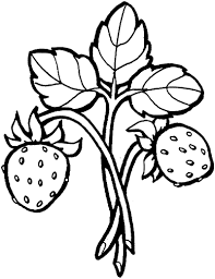 Berikut ini adalah beberapa gambar strawberry lucu. Strawberry 8 Coloring Page Online Coloring Pages