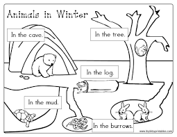 Coloring Sheets Of Animals That Hibernate Hibernating Animals Preschool Winter Animals Preschool Animals That Hibernate